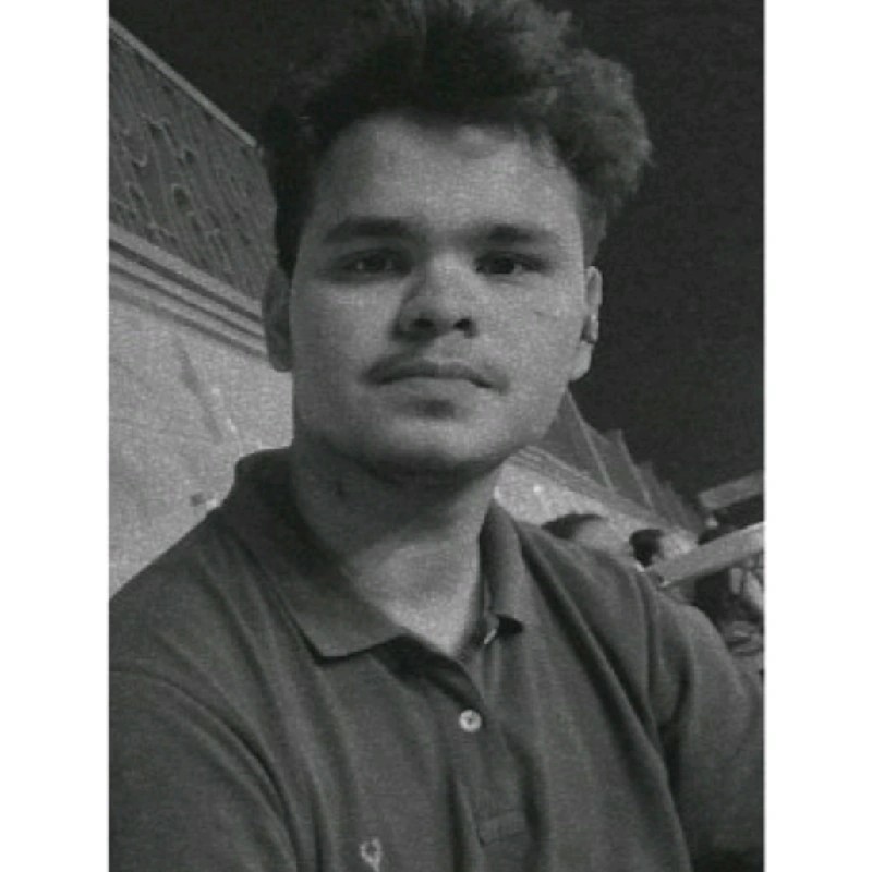 Hassan Mirza